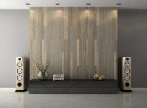 Many factors are involved when choosing home theater speakers. 